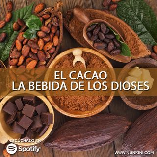 El Cacao: La bebida de los dioses