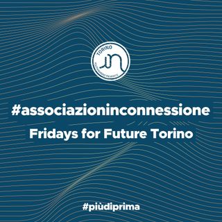 #7 - Fridays for Future Torino