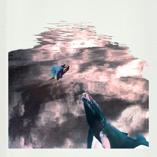 EP 3 - Viajes de ballenas