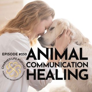 250: Animal Communication + Healing | Julie Jeanne Bassett