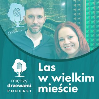 Między Drzewami #62 Las w wielkim mieście [Konrad Drzewiecki]