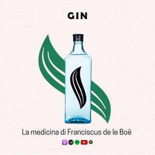 Gin | La medicina di Franciscus de le Boë