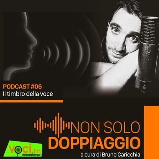 NON SOLO DOPPIAGGIO con Bruno Caricchia - IL TIMBRO VOCALE