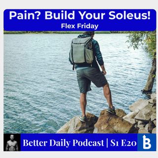 S1 E20 - Joint Pain? Train Your Soleus Muscle!