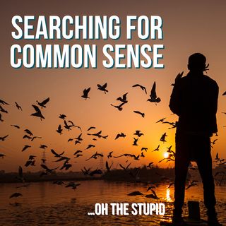 Searching for Common Sense