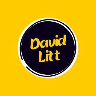 David Litt