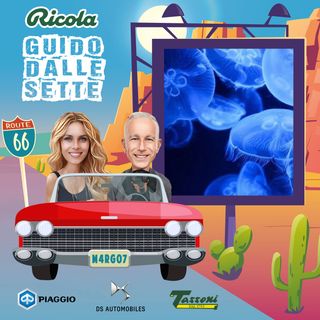 S1 E76 - Occhio alle meduse!