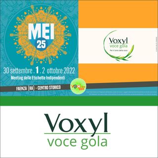 Voxyl Voce Gola al "MEI" 2022 di Faenza