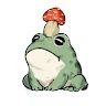 TheFrogMagazine