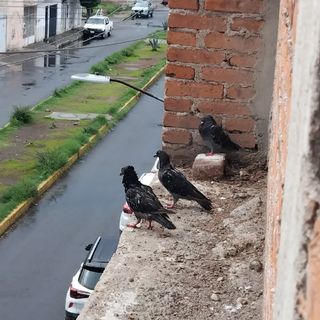 Espacio En Blanco
