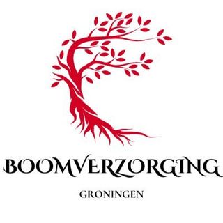 Boomverzorging Groningen