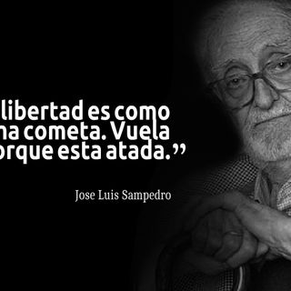 Hoy reviviendo a José Luis Sampedro