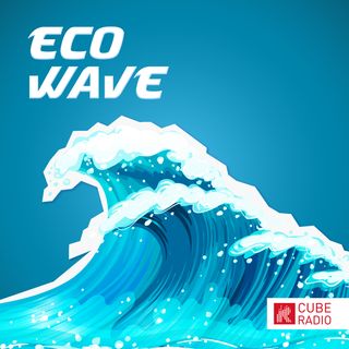 Eco Wave