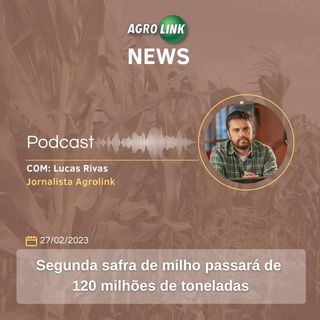 Matopiba é a fronteira agrícola que mais cresce no país