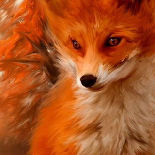 FoxCalp