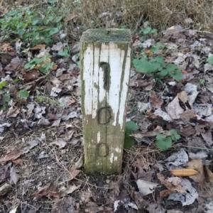 Ep 2 Stake in the Ground