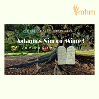 Adam's sin or mine?