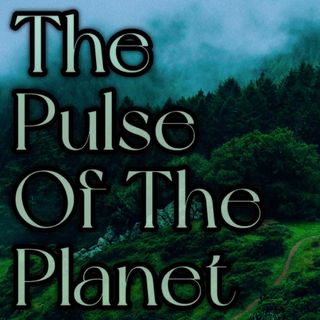 The Pulse Of The Planet