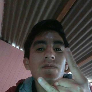 Alex Wave