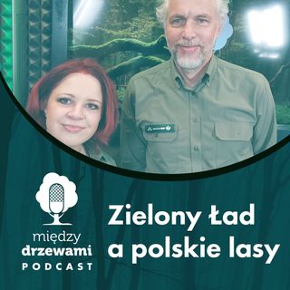 Między Drzewami #65 Zielony Ład a polskie lasy [Cezary Świstak]