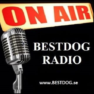 BESTDOG RADIO