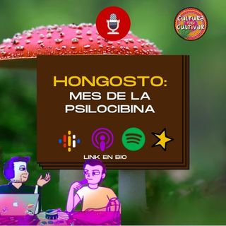 Hongosto: mes de la psilocibina