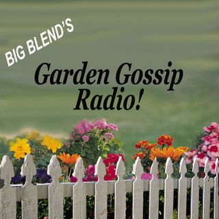 Garden Gossip Home & Garden