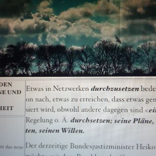 Meinungsfreiheit Nach Maas. Spaß Mit Heiko