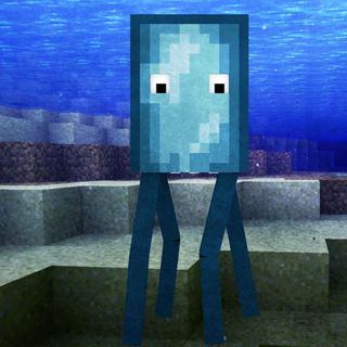 mr.squidy dude perfect