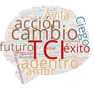 Trabajo Comunitario Integrado. Capítulo Falla