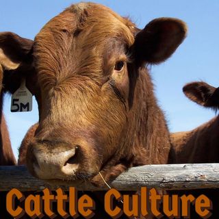 Cattle Culture Episode 1:  Markets, Nebraska Brands, and A Brazilian Beef Conundrum