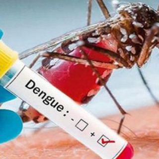 Frente al dengue, todas las medidas (+Audio)