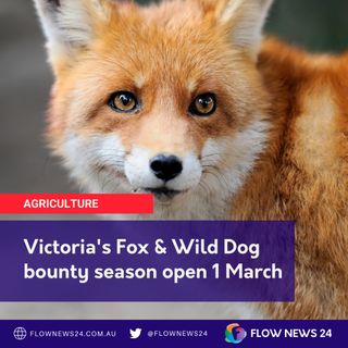 Victoria's Fox and Wild Dog bounty is back on