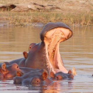 Big Blend Radio Interview: Travel Writer Elizabeth Willoughby – Epic Zimbabwe Road Trip!