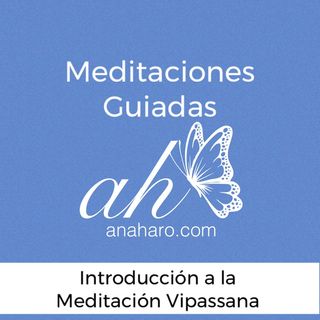 Introducción a la Meditación Vipassana