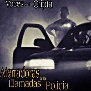 Horrores Vividos por los policías / Llamadas y Relatos Aterradores de la Policía / Voces de la Cripta #8