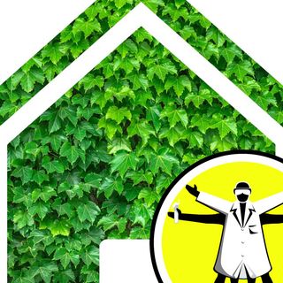Green Spring Clean: Greener Homes