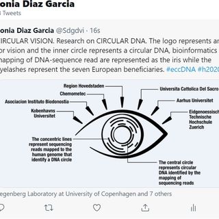 CIRCULAR VISION - Circular Vision is a highly innovative EU Horizon 2020 funded project (FET-Open)