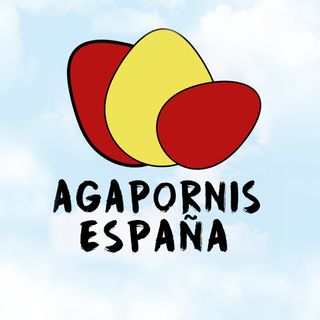 Agapornis España
