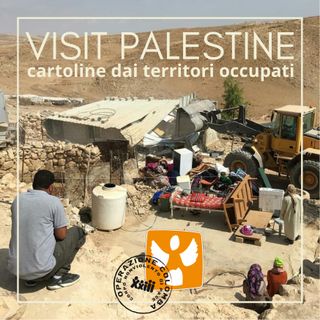 Visit Palestine: cartoline dai Territori Occupati