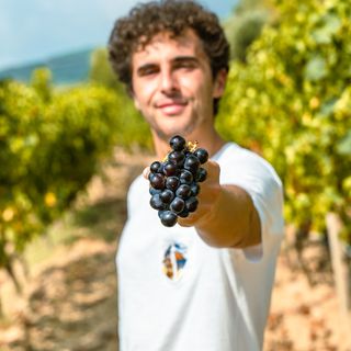 Tappi e Innovazione con il Master of Wine Gabriele Gorelli 🍷