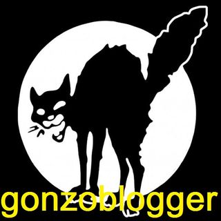 Gonzo Blogger