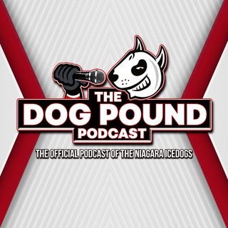 Growing Pains - Dog Pound Podcast