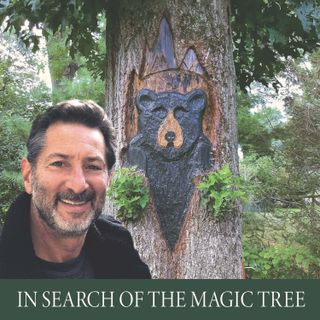 In Search of the Magic Tree_Trailer