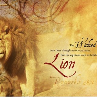 Proverbs chapter 28