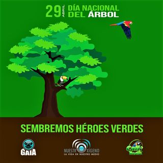 NUESTRO OXÍGENO Sembremos héroes verdes (Día del árbol)