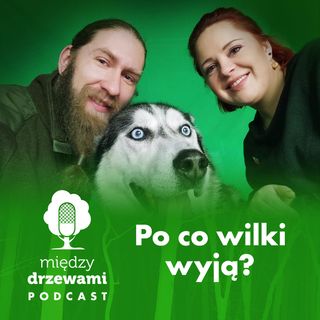 Między Drzewami #39 Po co wilki wyją? [Adam Gełdon]