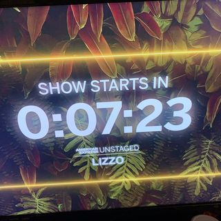 Lizzo Unstaged in Miami