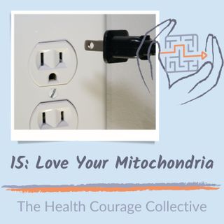 15: Love Your Mitochondria!