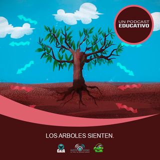 NUESTRO OXÍGENO Los arboles sienten